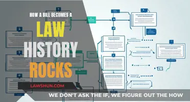 The Evolution of Laws: History's Impact