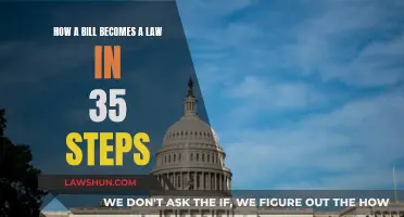 The Long Road: Bill to Law in 35 Steps