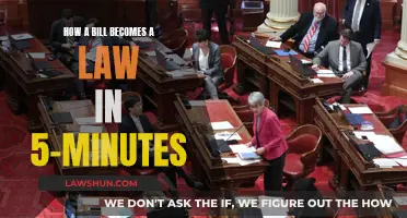 Understanding Lawmaking: 5-Minute Guide to Legislative Process