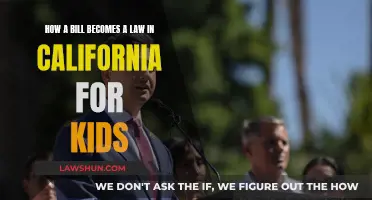 California's Laws: How Kids Can Understand Better