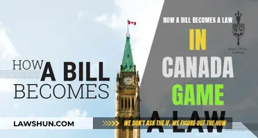 Understanding Canadian Lawmaking: A Fun Guide