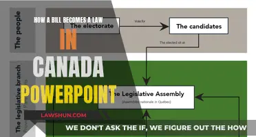Understanding the Canadian Lawmaking Process