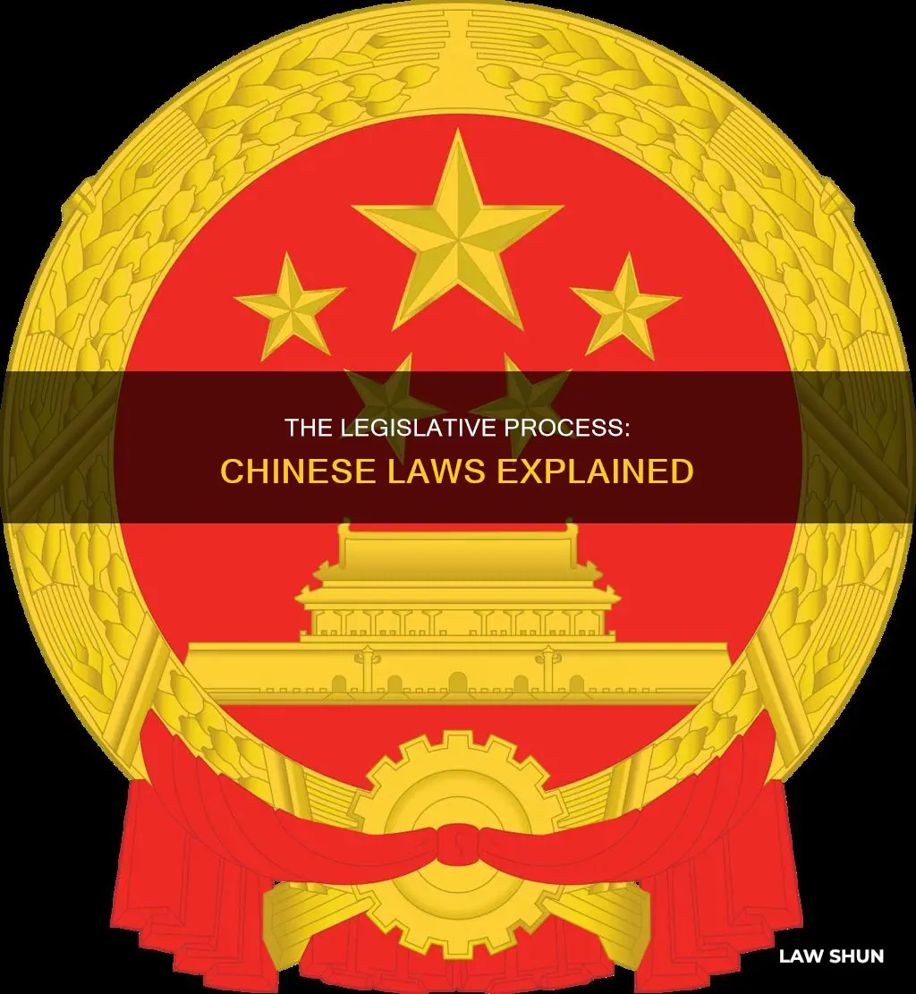 how a bill becomes a law in china