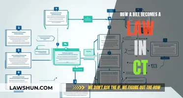 Understanding Connecticut's Lawmaking Process