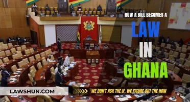 Ghana's Legislative Journey: Bills to Laws