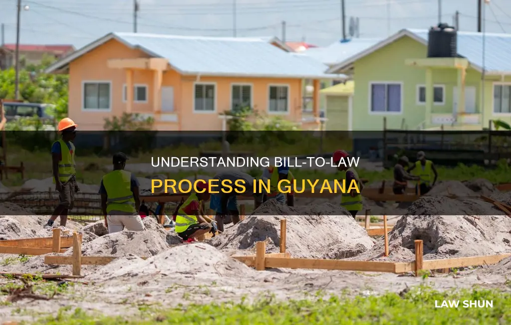 how a bill becomes a law in guyana