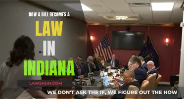 Understanding Indiana's Lawmaking Process: Bills to Acts