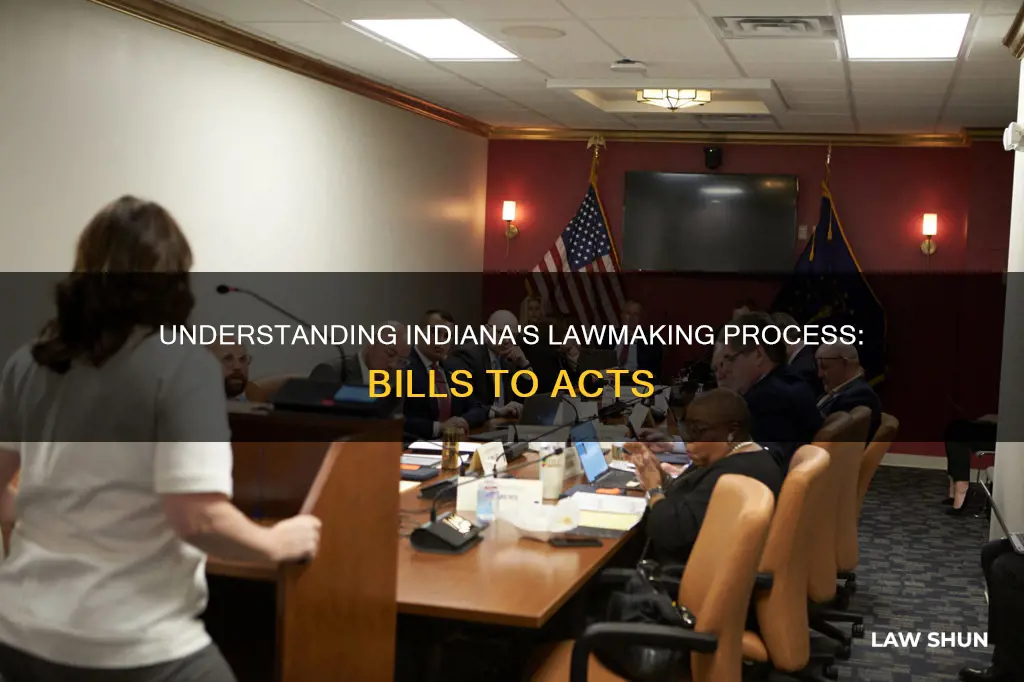 how a bill becomes a law in indiana