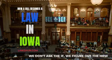 Iowa's Lawmaking Process: From Bill to Be Enacted