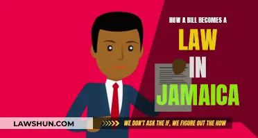 Jamaica's Law-Making Process: Understanding the Legislative Journey