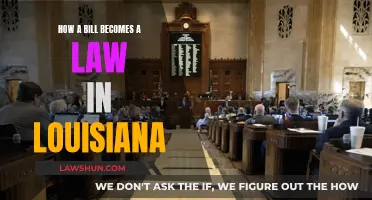 Bill to Law: Louisiana's Unique Legislative Process