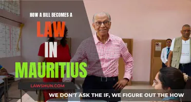 The Law-Making Process in Mauritius: Understanding Legislation