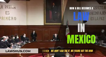 The Legislative Journey: Bill to Law in Mexico