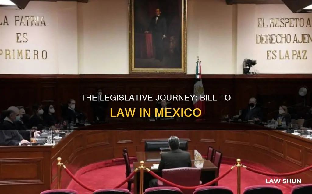 how a bill becomes a law in mexico