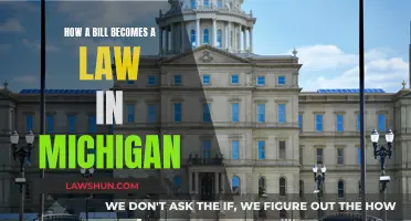 Bill to Law: Michigan's Legislative Process