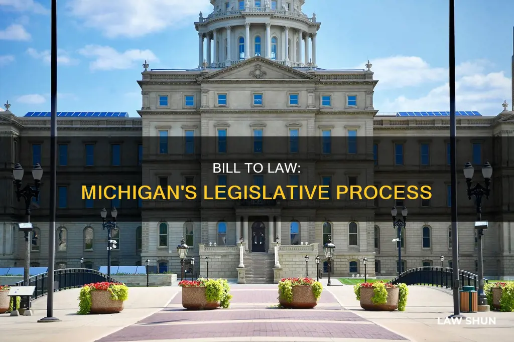 how a bill becomes a law in michigan