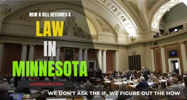 Bill to Law: Minnesota's Legislative Process