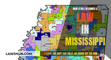 The Journey of a Bill to Law in Mississippi