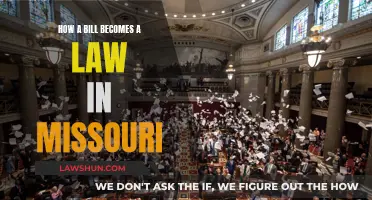 Missouri's Lawmaking Process: Bills to Laws