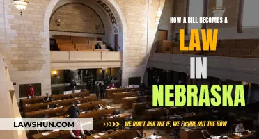 Nebraska's Lawmaking Process: Bills to Laws