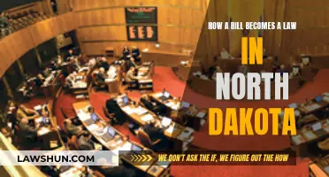 The Lawmaking Process in North Dakota Explained