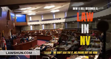 Understanding the Process: Bills to Laws in Nevada