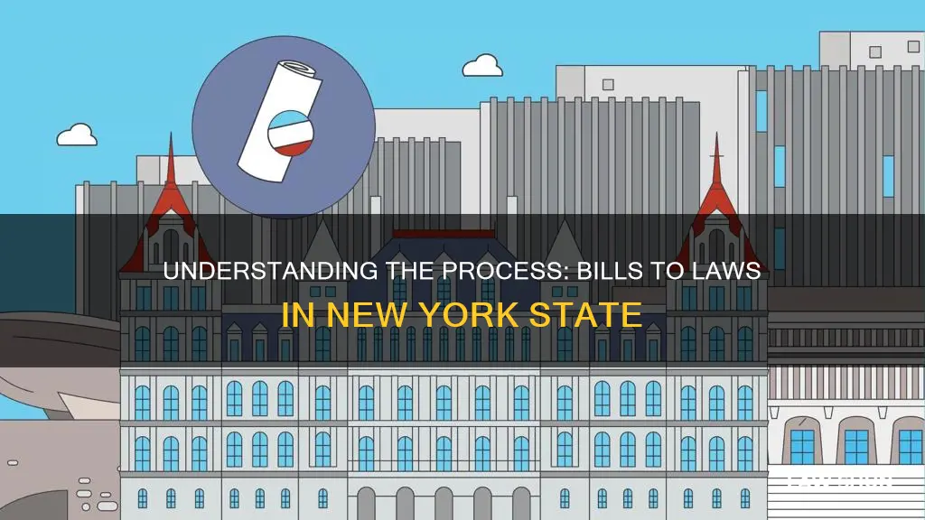 how a bill becomes a law in nys