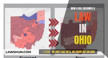 Understanding Ohio's Lawmaking Process: Bills to Laws