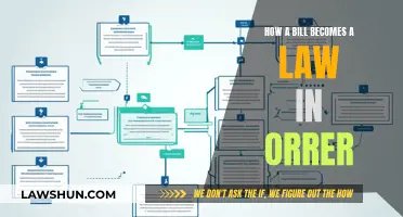 The Legislative Process: From Bill to Law