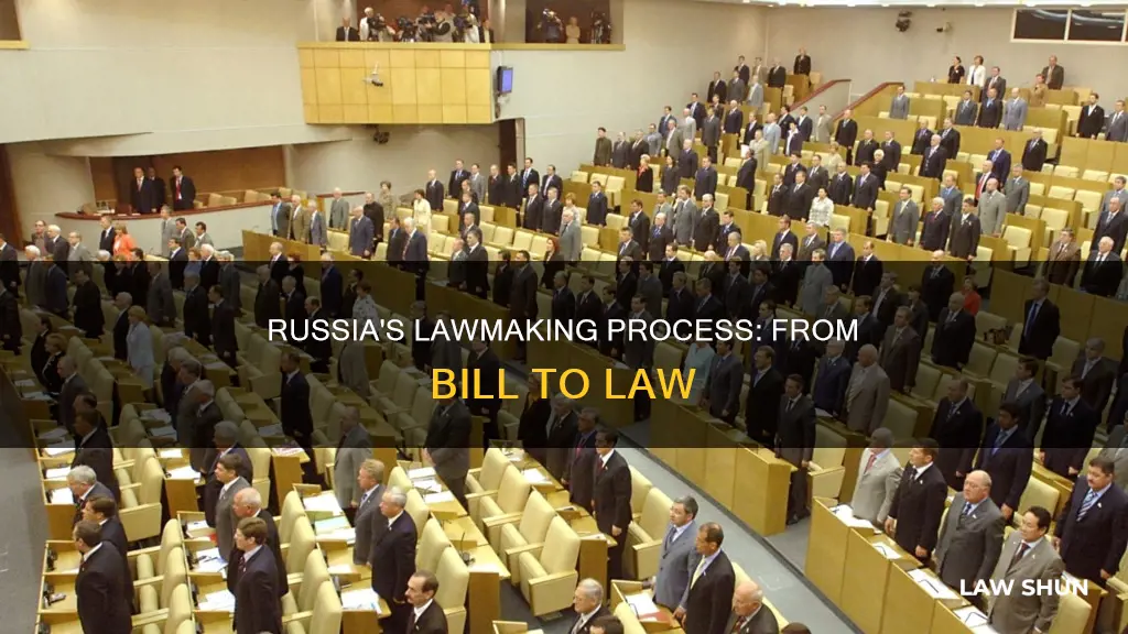 how a bill becomes a law in russia