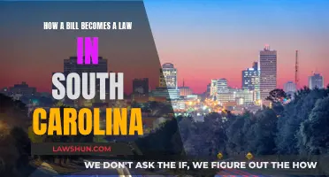 Bill to Law: South Carolina's Process