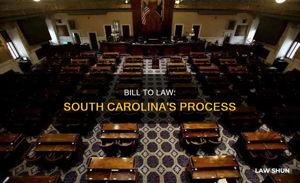 how a bill becomes a law in south carolina