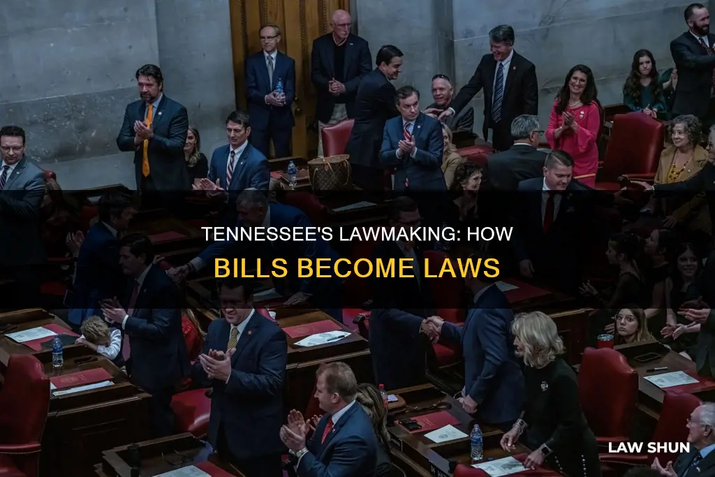 how a bill becomes a law in tennessee