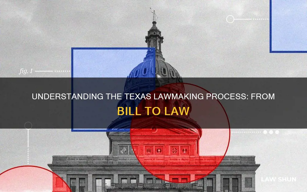 how a bill becomes a law in texas govt 2306