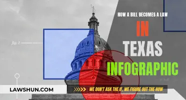 Texas Lawmaking: Visualizing the Bill-to-Law Journey