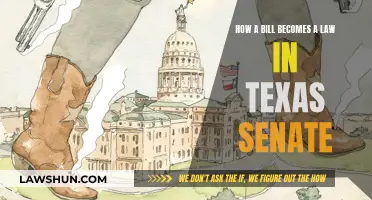 Texas Senate: How Bills Become Laws