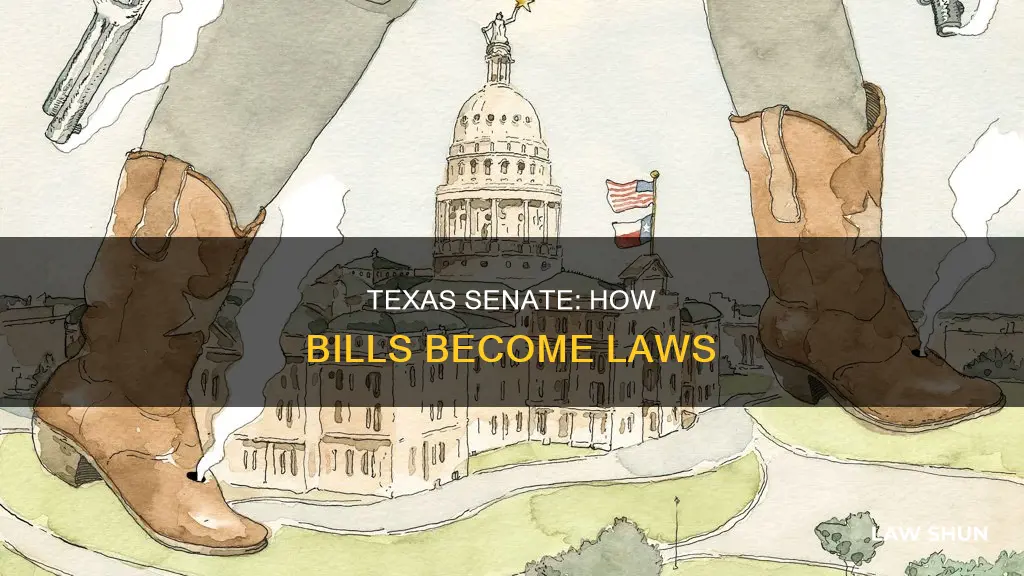 how a bill becomes a law in texas senate