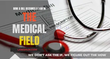 Understanding the Medical Law-Making Process