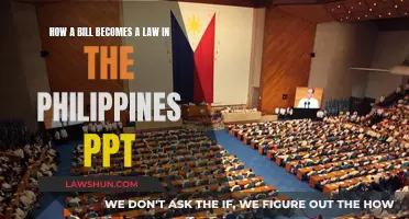 The Journey of a Bill to a Law in Philippines