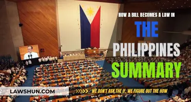 Philippine Lawmaking: A Summary of the Process