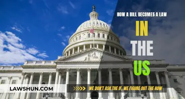 The US Lawmaking Process: How Bills Become Laws