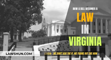 Understanding Virginia's Lawmaking Process