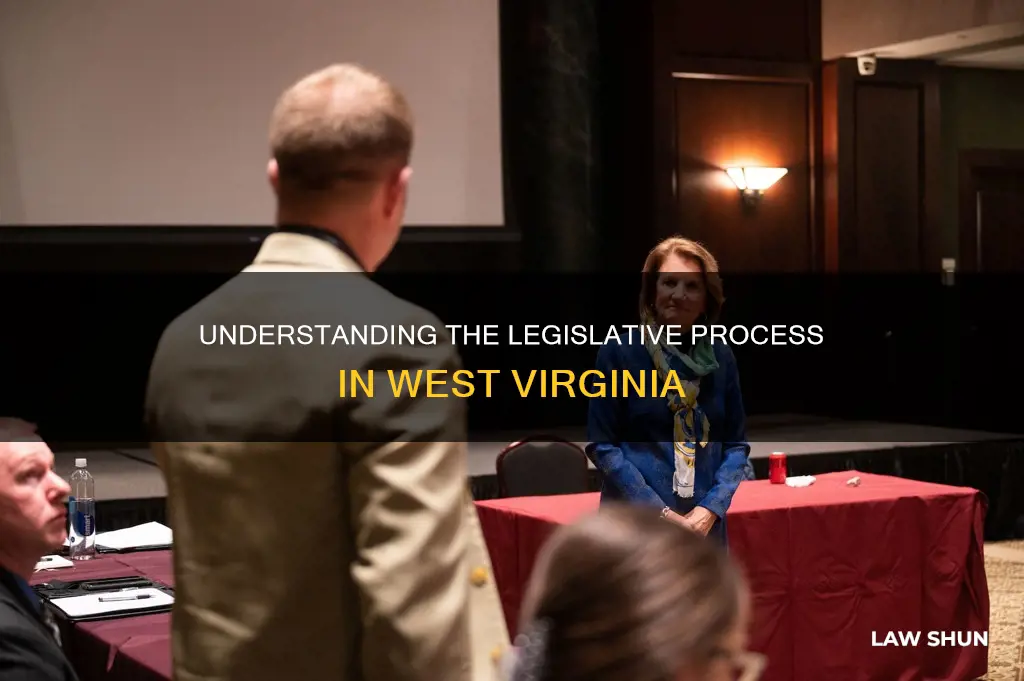 how a bill becomes a law in wv