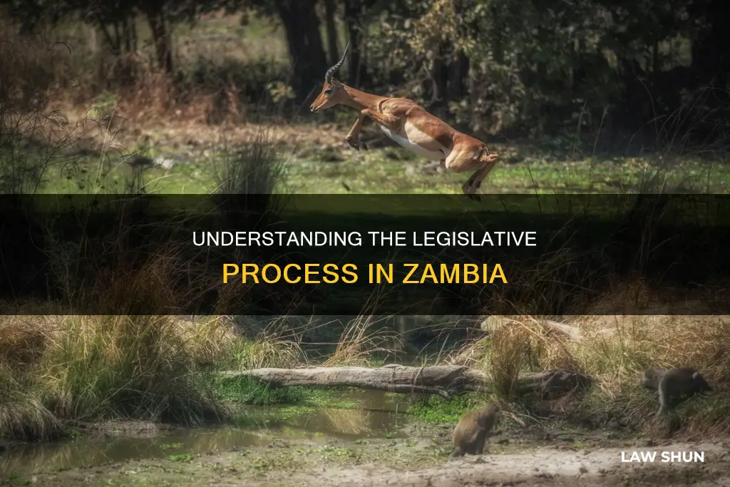 how a bill becomes a law in zambia