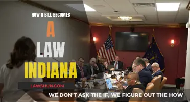 Understanding Indiana's Lawmaking Process: Bills to Laws