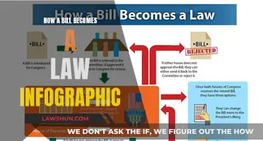 The Journey of a Bill to Law Visualized