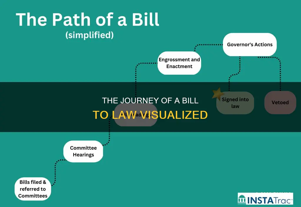 how a bill becomes a law infographic