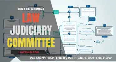 The Bill's Journey: Judiciary Committee to Law