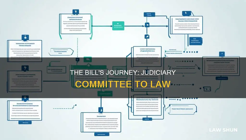 how a bill becomes a law judiciary committee