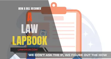 The Making of Laws: Lapbook Unfolds the Legislative Process